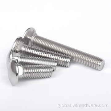 Stainless Steel Bolt Series Cup Head Square Neck Carriage Bolts Factory